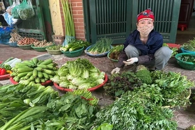 Ăn gì để vừa tiết kiệm vừa đủ vitamin khi rau xanh tăng giá mạnh?