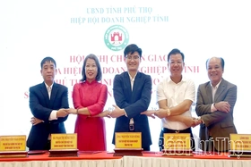 Transition Ceremony from the Business Associations of the Three Former Provinces to the Phu Tho Provincial Business Association