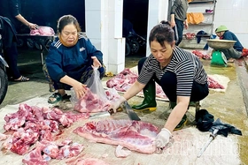 Kỳ II: Đi tìm giải pháp xây dựng cơ sở giết mổ tập trung