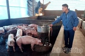 Siết chặt giết mổ gia súc, gia cầm-Bảo vệ sức khỏe cộng đồng