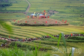 Miền Đồi thơ mộng