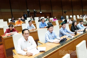 Quốc hội cần ban hành chính sách đặc thù trong việc đầu tư, xử lý chất thải rắn