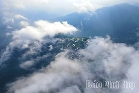 Biển mây Tam Đảo: Khoảnh khắc chạm vào kỳ ảo