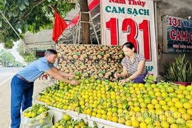 2,4 tỷ đồng tổ chức Hội chợ giới thiệu sản phẩm đặc trưng vùng đồng bào DTTS và miền núi năm 2025