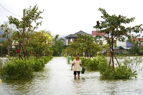 Thời tiết ngày 1/11: Mưa lớn diện rộng ở Trung Bộ, Bắc Bộ trời lạnh và có nơi rét