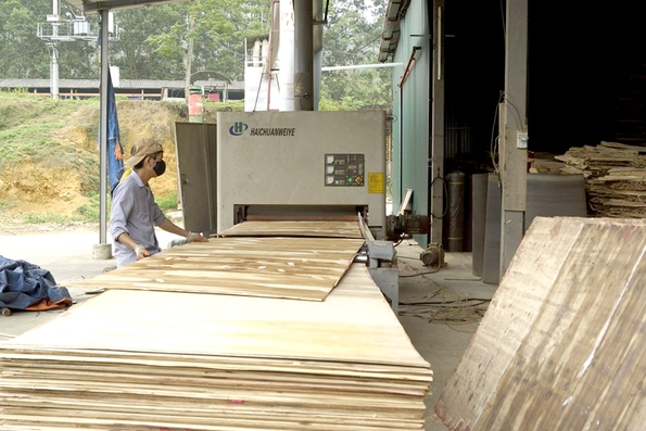 Ứng dụng khoa học công nghệ, nâng cao sức cạnh tranh cho sản phẩm