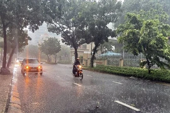 Phú Thọ dự báo mưa lớn, có nơi trên 100mm