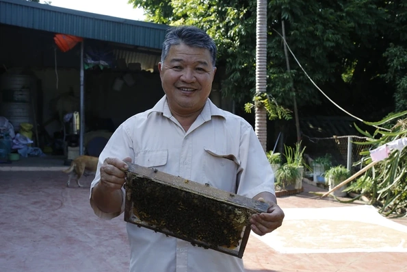 Hiệu quả mô hình nuôi ong trong vườn