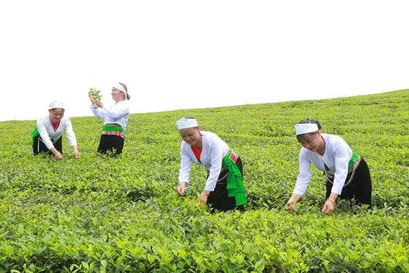 “Đất lạ hóa quê hương”