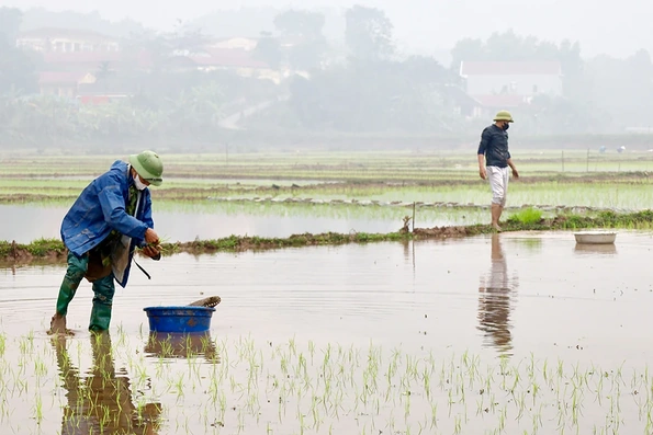 Màu xanh trở lại nơi cơn lũ đi qua