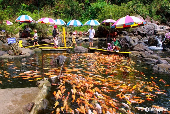 Khám phá những “toạ độ sống ảo” ở miền Tây Nghệ An