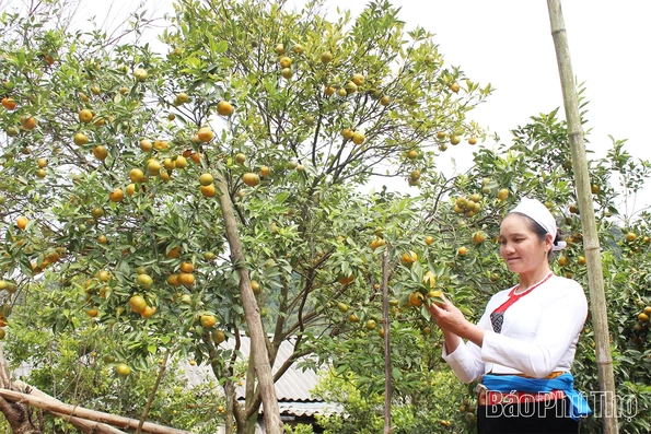 Khai thác tiềm năng, tạo đột phá trong phát triển nông nghiệp, du lịch; phấn đấu đưa Vân Sơn trở thành khu du lịch cấp tỉnh năm 2030