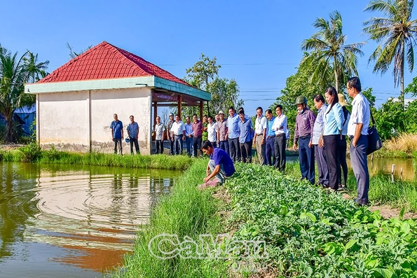 “Vị ngọt” từ sự đổi thay