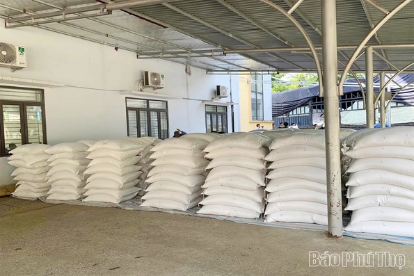 Học sinh Phú Thọ cần Nhà nước hỗ trợ 4.314.251 kg gạo theo Nghị định 66/2025/NĐ-CP