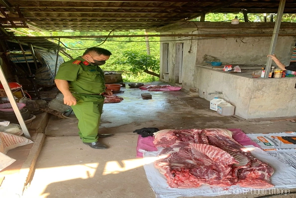 Xã Bao La phát hiện, xử lý hộ dân tự ý giết mổ lợn tại vùng dịch