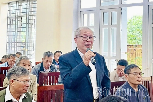 Dân chủ tạo đồng thuận