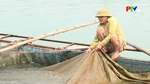 Đảm bảo an toàn cá lồng trong mùa mưa lũ