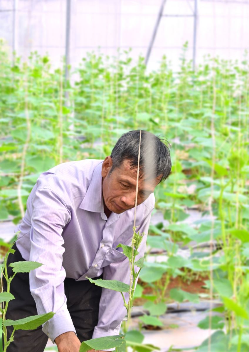 “Lão nông” tâm huyết với nông nghiệp sạch