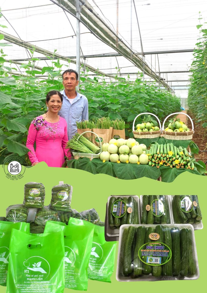 “Lão nông” tâm huyết với nông nghiệp sạch