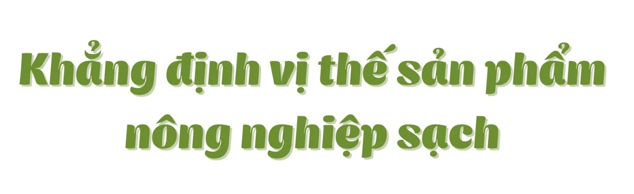 “Lão nông” tâm huyết với nông nghiệp sạch