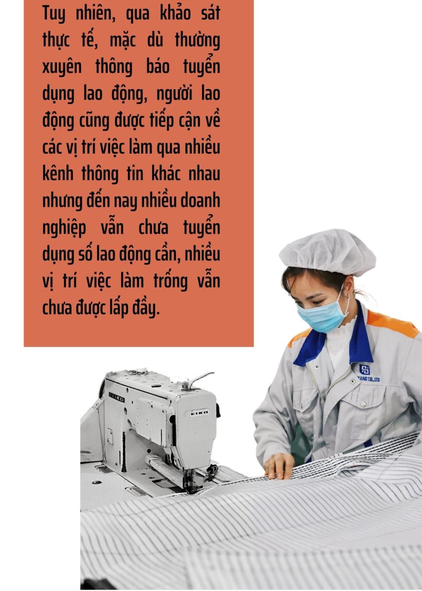Kỳ II: Giải bài toán cung - cầu về lao động
