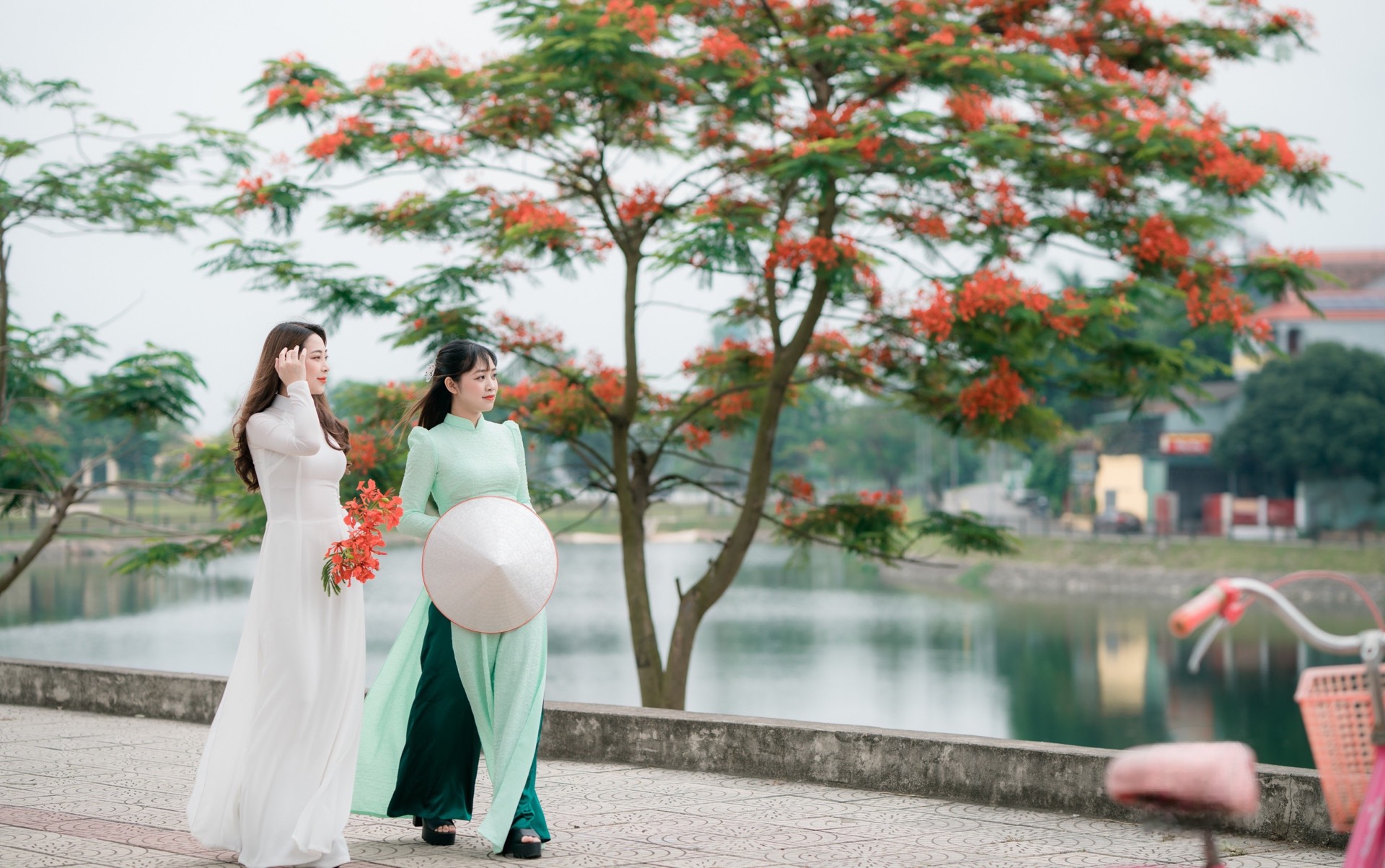 Tháng Năm - mùa hoa phượng nở