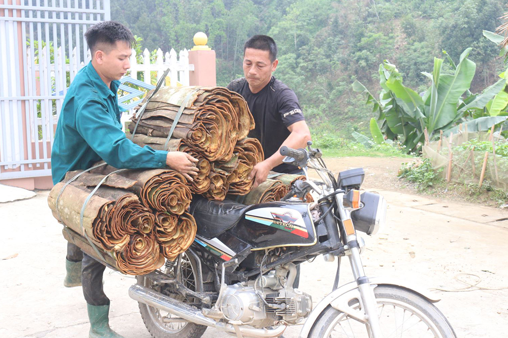 Hiệu quả từ chương trình phát triển tài sản trí tuệ