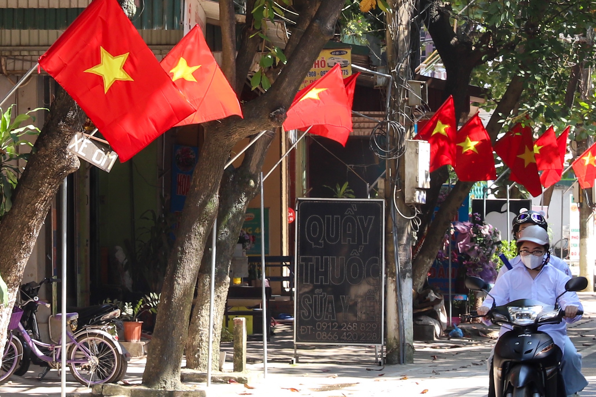 Rực rỡ cờ sao mừng Quốc khánh
