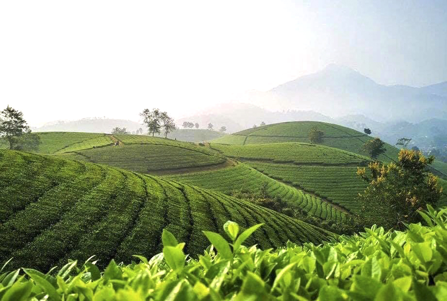 Phát huy tiềm năng, tập trung nguồn lực, quyết tâm thực hiện thắng lợi Nghị quyết Đại hội Đảng bộ tỉnh lần thứ XIX, nhiệm kỳ 2020-2025, phát triển kinh tế - xã hội nhanh, bền vững