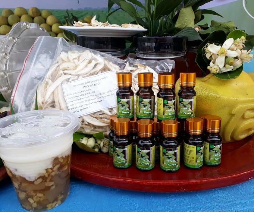 Đa dạng hóa các sản phẩm từ cây bưởi