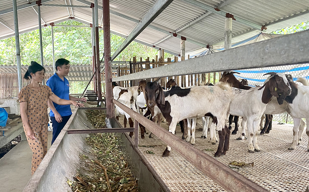 Phát triển kinh tế - xã hội vùng đồng bào dân tộc thiểu số và miền núi