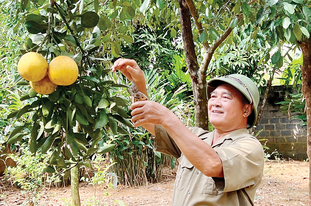 Tấm gương sáng trong học và làm theo Bác