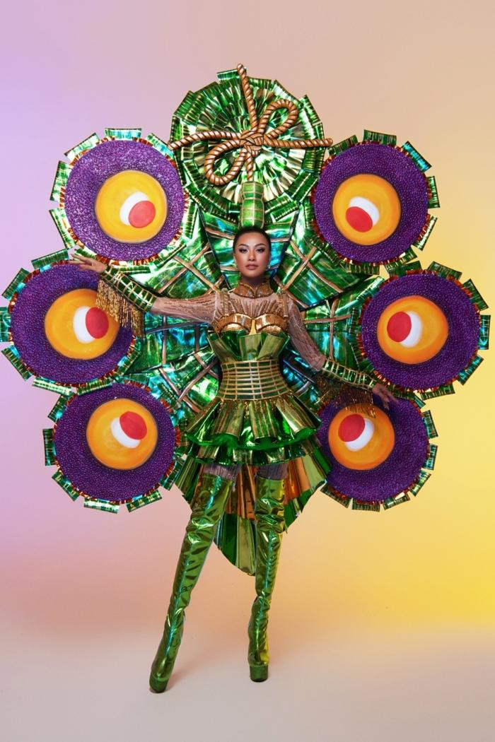National Costume của Việt Nam tại Miss Universe: Ai ấn tượng nhất?
