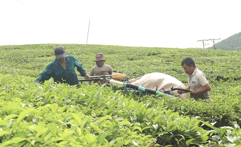 Tân Sơn chủ động nắm bắt, khắc phục khó khăn triển khai Chương trình 1719