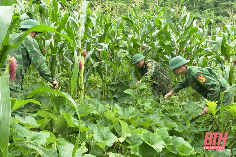 Nỗ lực vượt khó, xây dựng mô hình VAC ở Đồn Biên phòng Pù Nhi