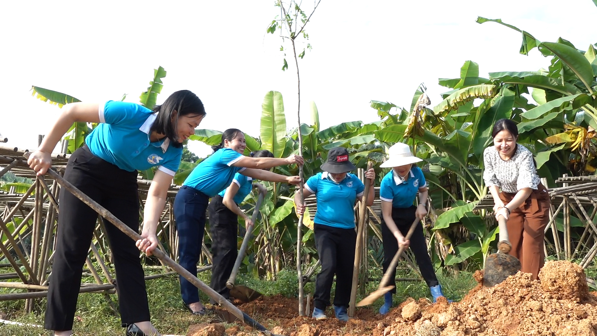 Hội LHPN tỉnh hỗ trợ trồng gần 4.000m “Đường hoa kiểu mẫu”