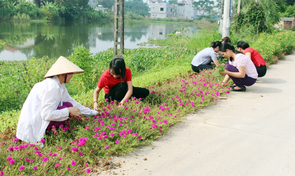 Hội LHPN tỉnh hỗ trợ trồng gần 4.000m “Đường hoa kiểu mẫu”