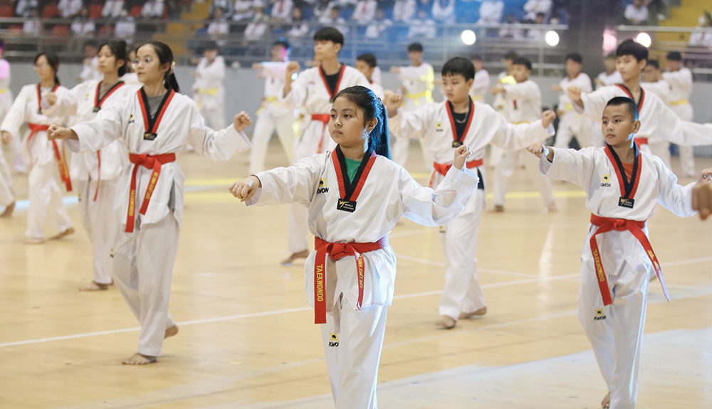 The 19th Phu Dong Provincial Sports Festival kicks off