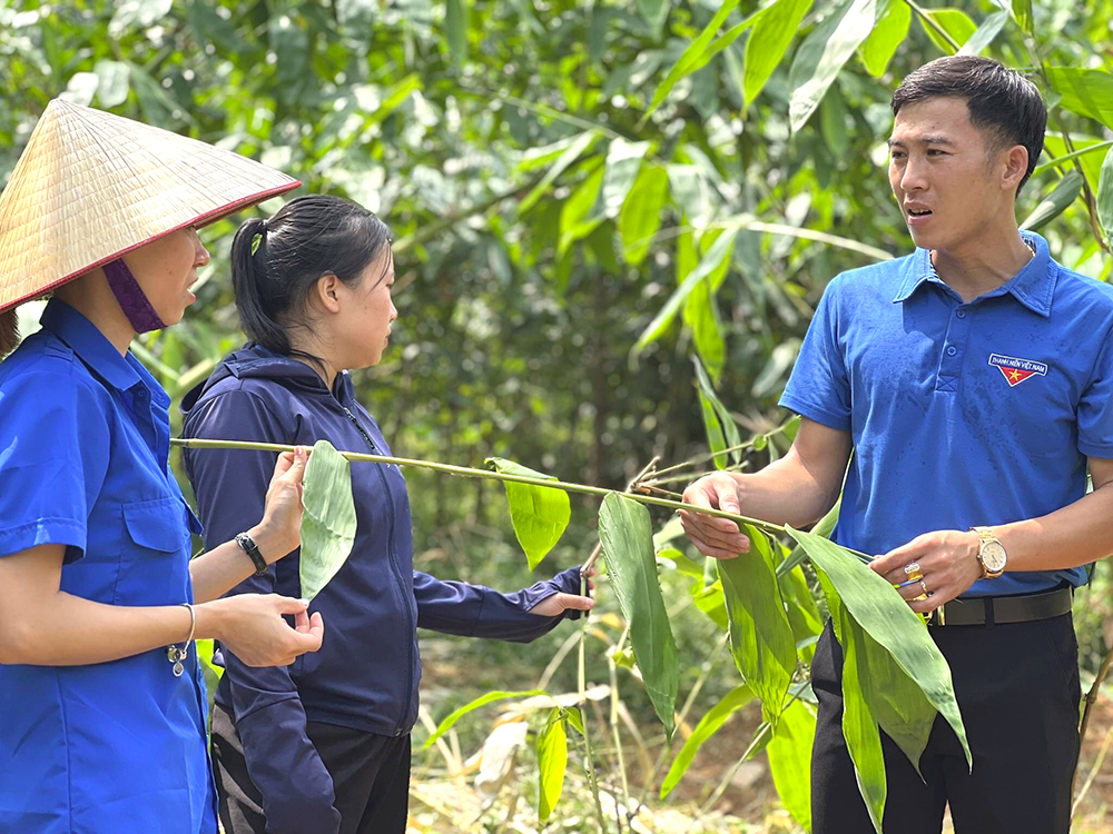 Góp sức xây dựng quê hương giàu đẹp