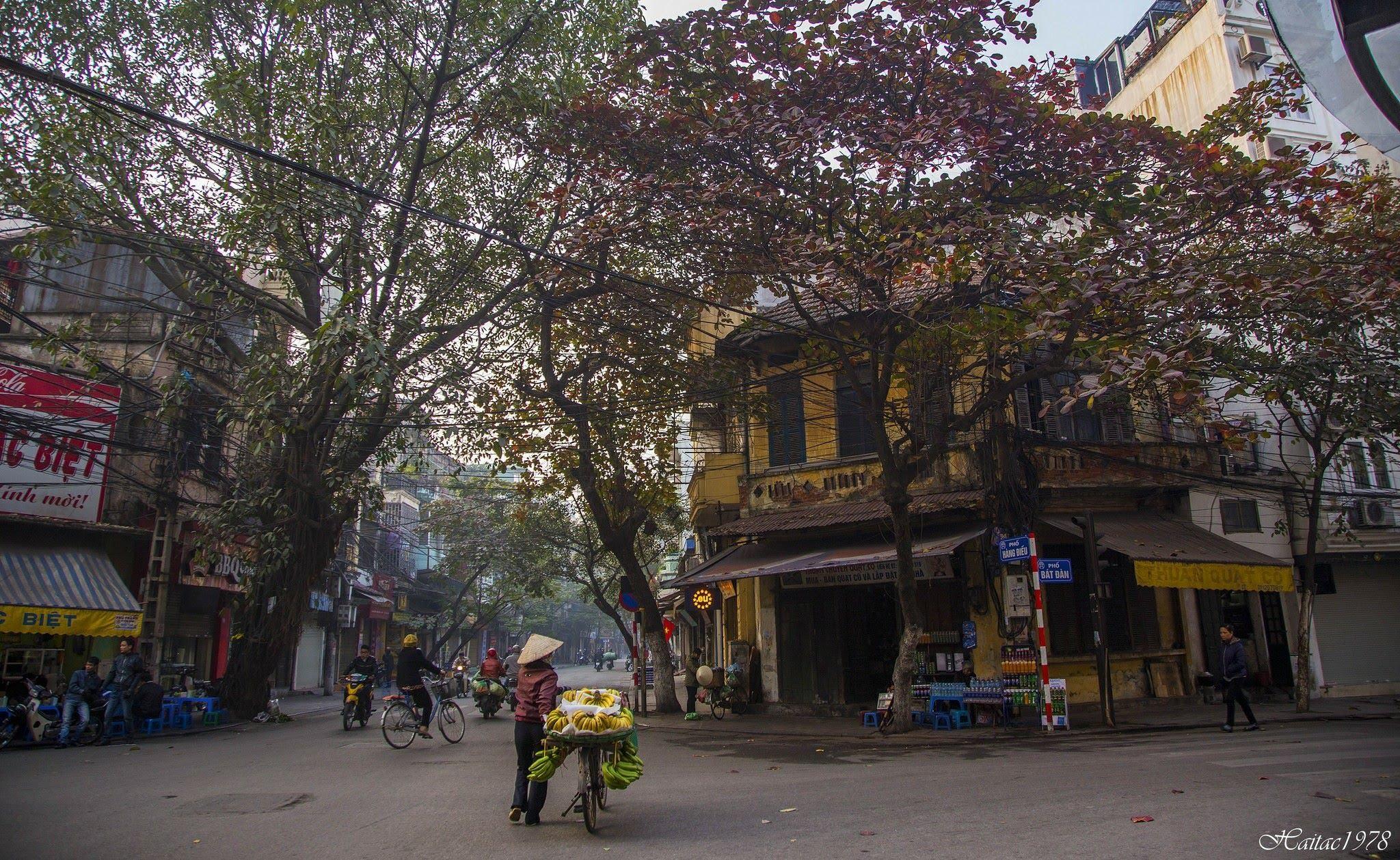 Tản mạn ngày cuối năm