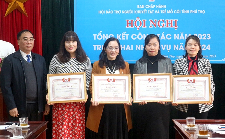 Hội Bảo trợ người khuyệt tật và trẻ mồ côi tổng kết công tác hội năm 2023