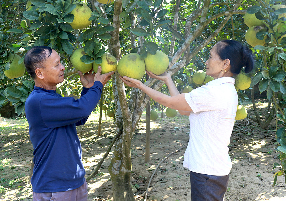 Support agricultural development