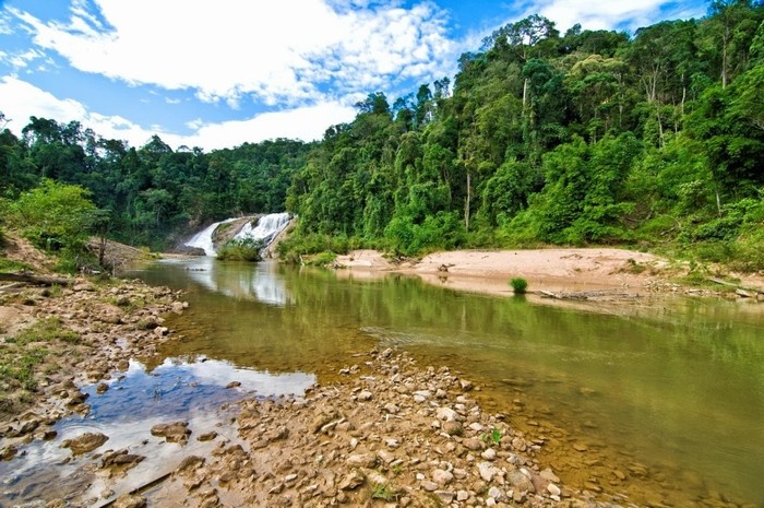 Bay lên đại ngàn