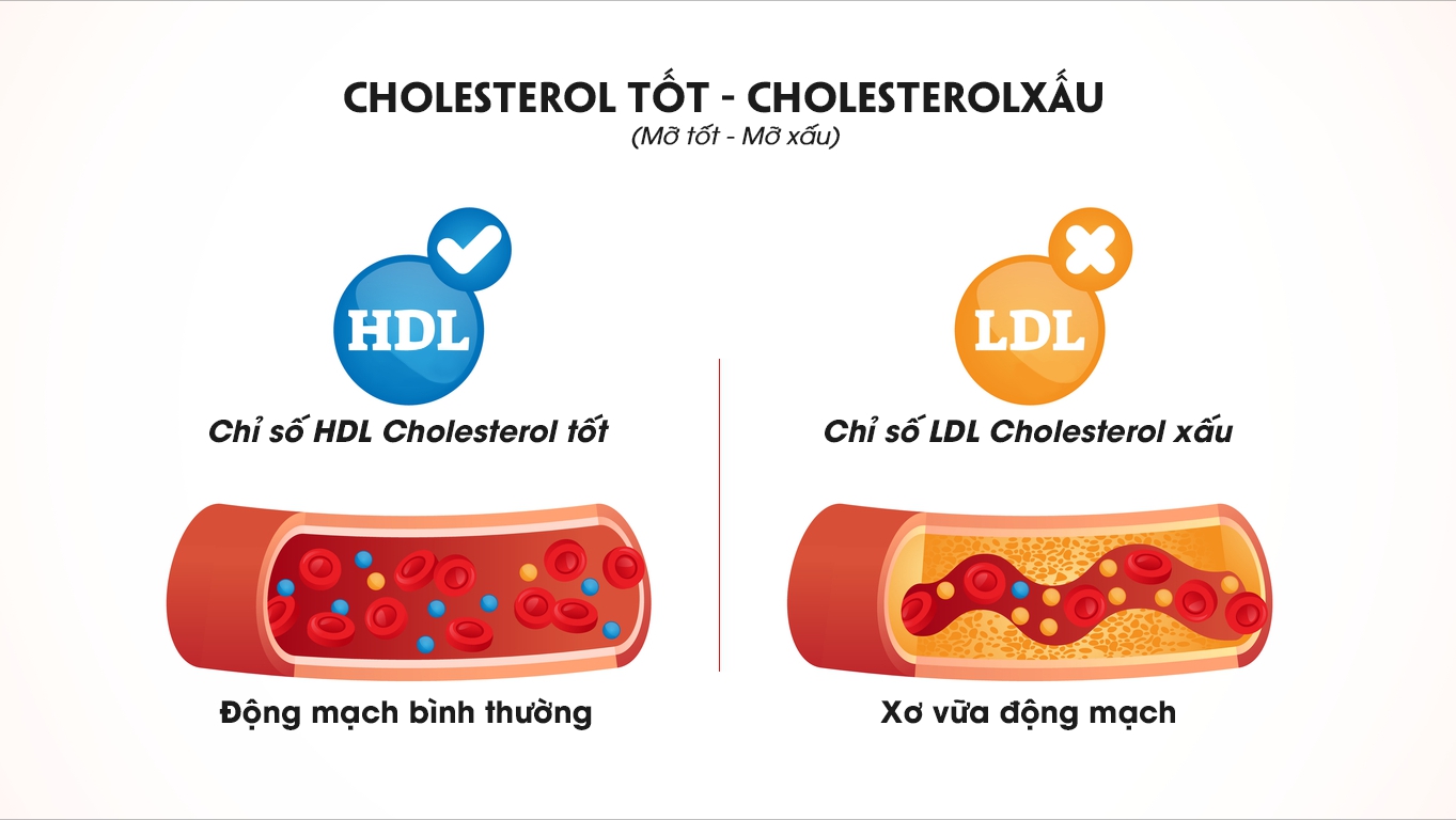 8 lợi ích sức khỏe từ rau mùi