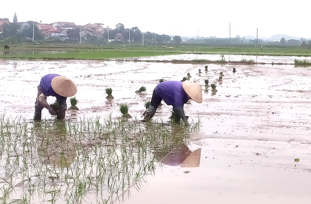 Bắt nhịp sản xuất ngay đầu năm mới