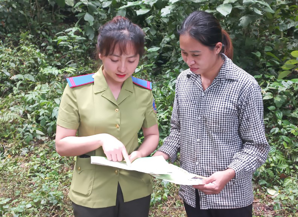 “Bóng hồng” giữ đại ngàn