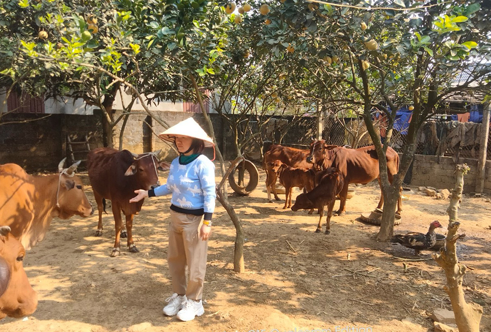 Văn Luông phát triển kinh tế, giảm nghèo bền vững