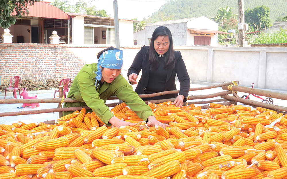 Thi đua xây dựng nông thôn mới