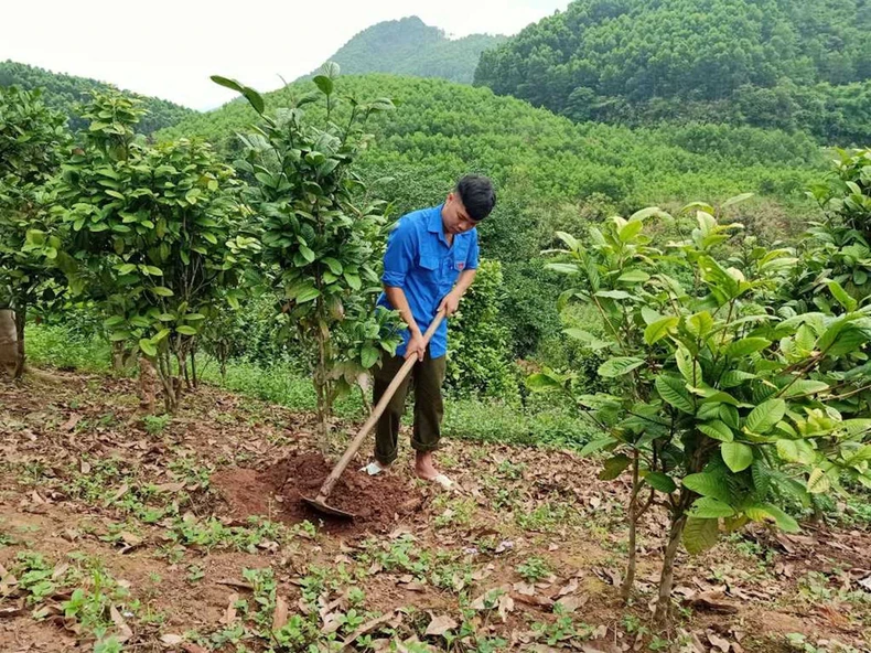 Chăm lo đời sống đồng bào các dân tộc thiểu số ở Ba Chẽ