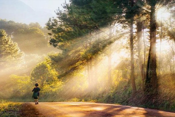 Thoảng nghe tiếng chim vương đầy nắng ngọt